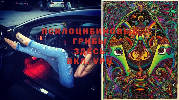 герыч Белокуриха