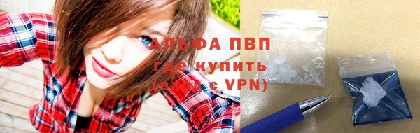 гашик Богданович