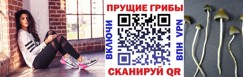 где найти наркотики  ссылка на мегу маркетплейс  Псилоцибиновые грибы мухоморы  Красноперекопск 